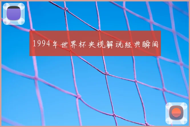 1994年世界杯央视解说经典瞬间