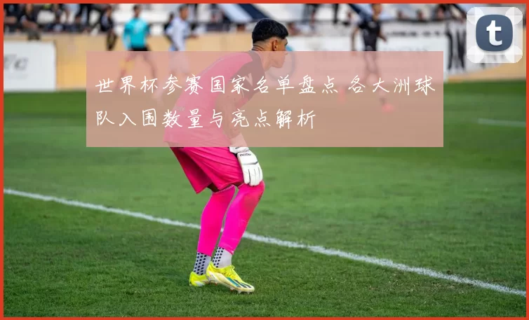 世界杯参赛国家名单盘点 各大洲球队入围数量与亮点解析